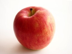 りんご 素材 Norah Web 写真 イラスト フリー素材 雑記